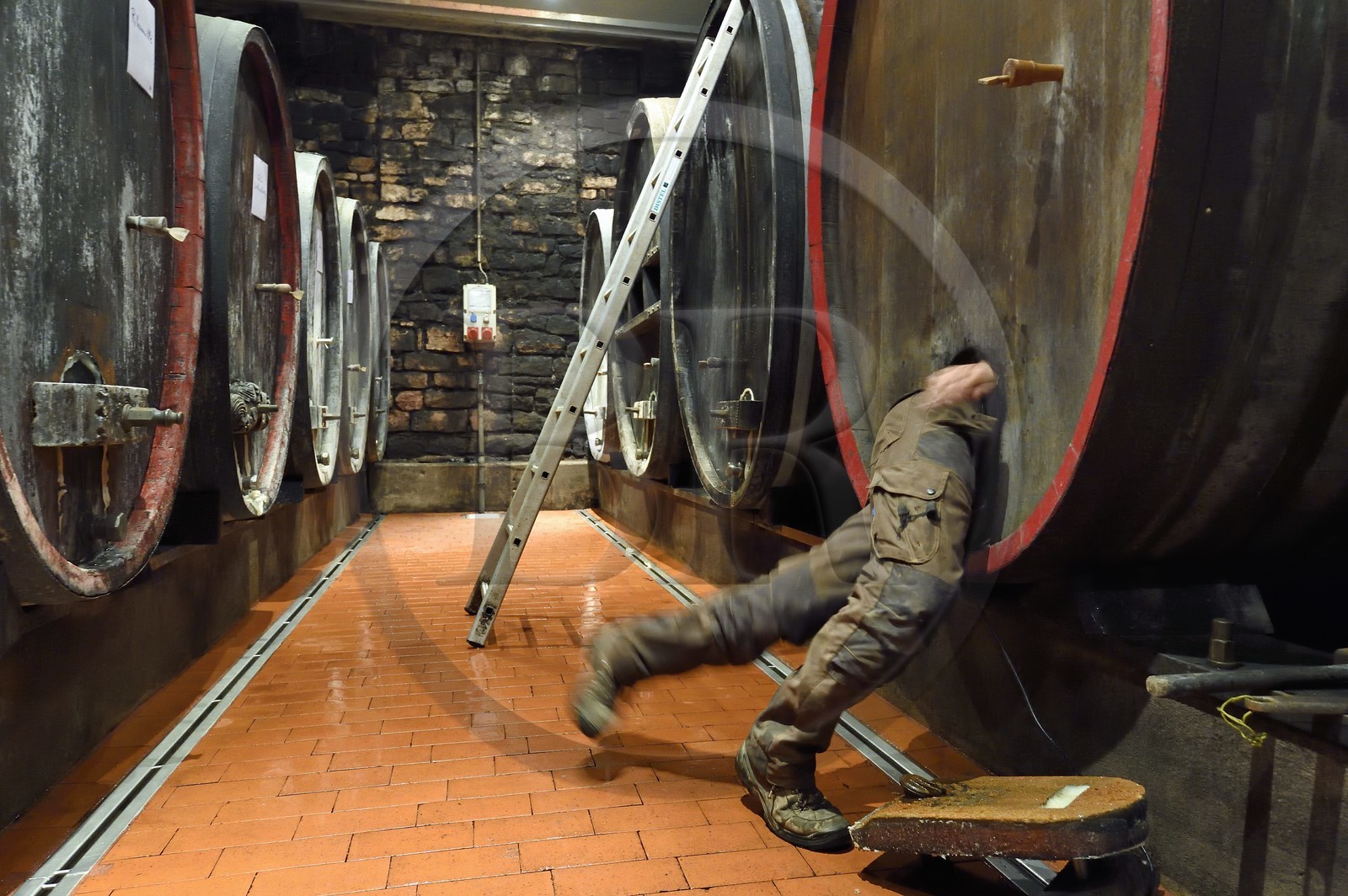 France, Haut Rhin, the Alsace Wine Route, Bergheim, Wine estate Marcel Deiss, the winegrower Mathieu Deiss entering the barrel for the cleaning of the interior of this big barrel France, Haut Rhin, the Alsace Wine Route, Bergheim, Wine estate Marcel Deiss, the winegrower Mathieu Deiss entering the barrel for the cleaning of the interior of this big barrel