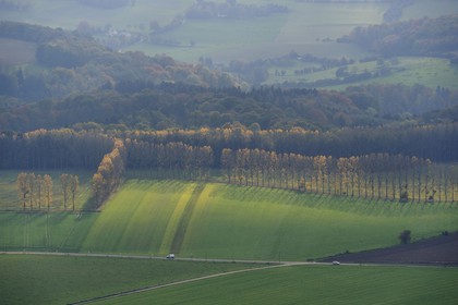 France, Seine-Maritime (76), route de campagne normande vers Bois-Héroult (vue aérienne)