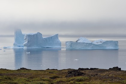 Greenland, west coast, Disko Island, Qeqertarsuaq, icebergs in the mist along the coast