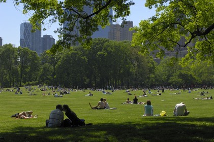Etats-Unis, New York, Manhattan,  Central Park, sheep meadow, baiser d'amoureux