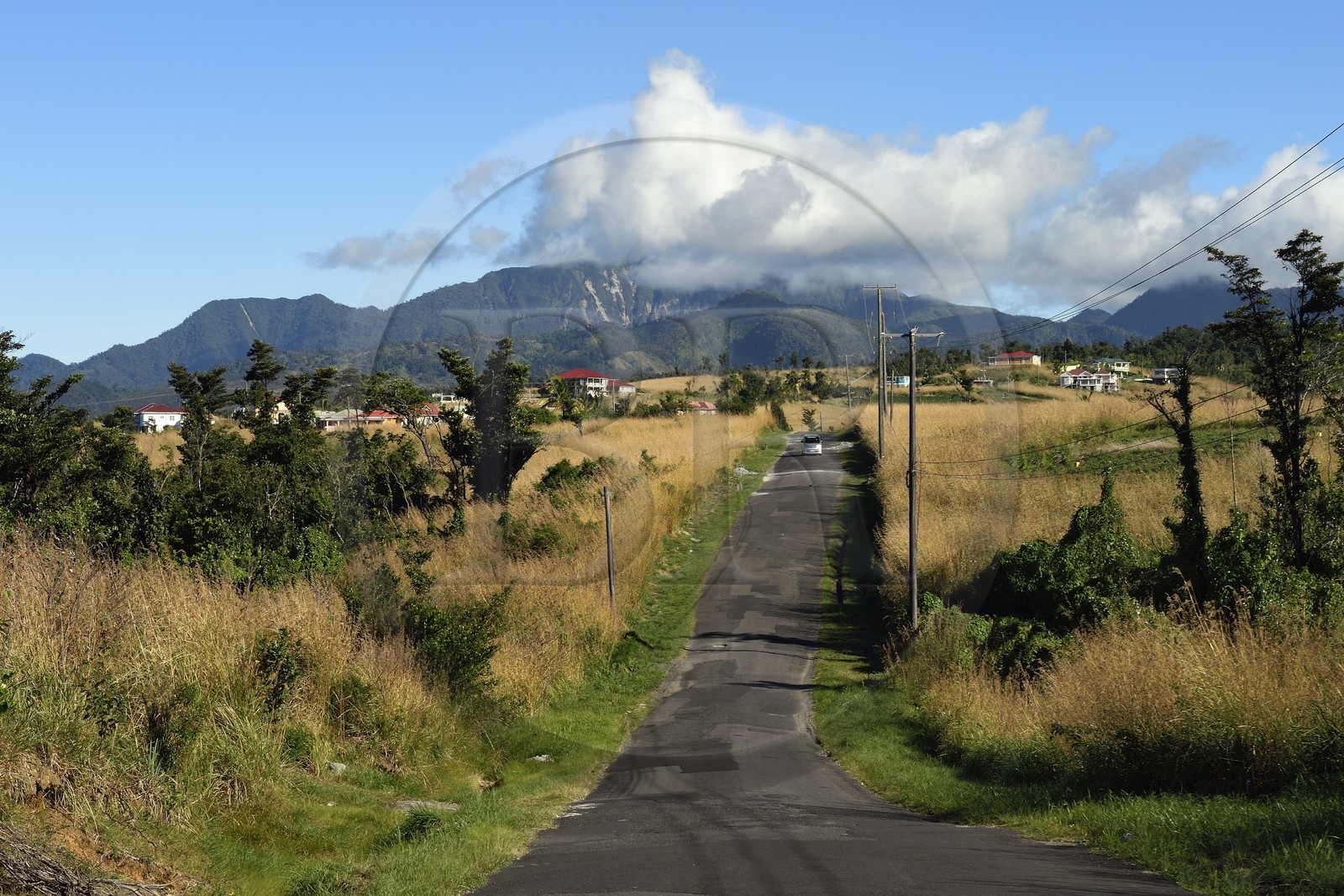 Caraïbes, Ile de la Dominique, sur la route Imperial Road vers Pont-Cassé, la montagne Morne Diablotin en arrière plan