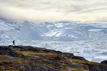 Groenland, cote ouest, baie de Disko, Ilulissat, randonneur en bordure du fjord glacé classé Patrimoine Mondial de l'UNESCO qui est l’embouchure maritime du glacier Sermeq Kujalleq (Jakobshavn Glacier)