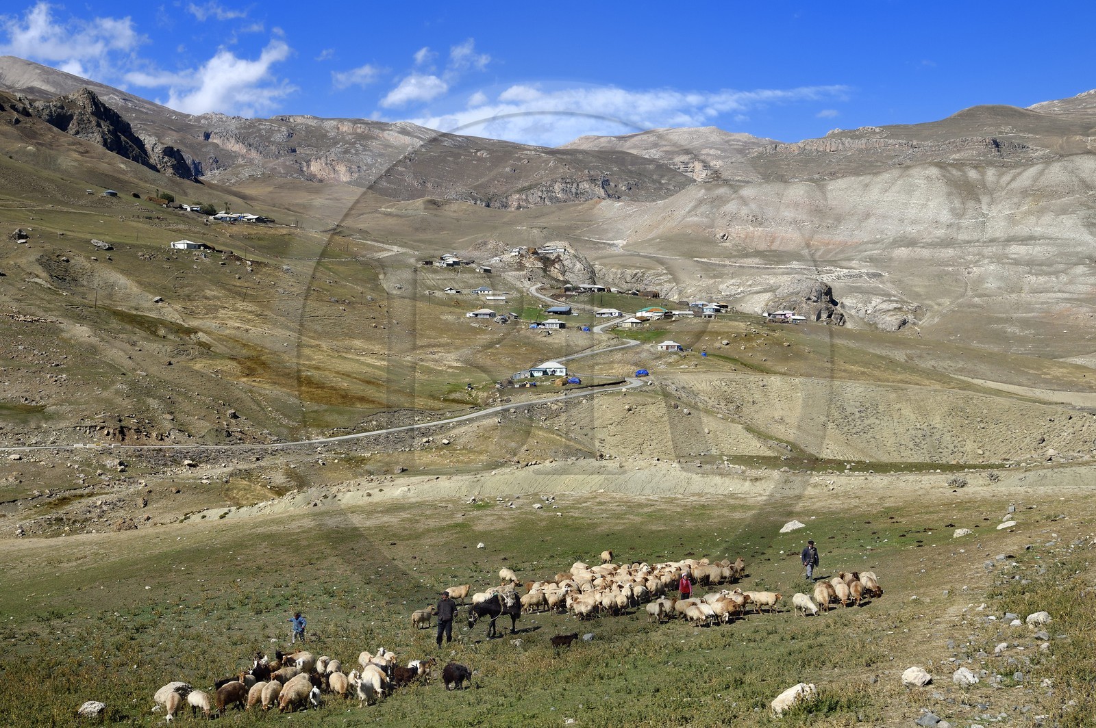 Azerbaijan, Quba (Guba) region, Greater Caucasus mountain range, along Xinaliq Yolu road towards Khinalug, village of Jek, shepherds family with their flock of sheep