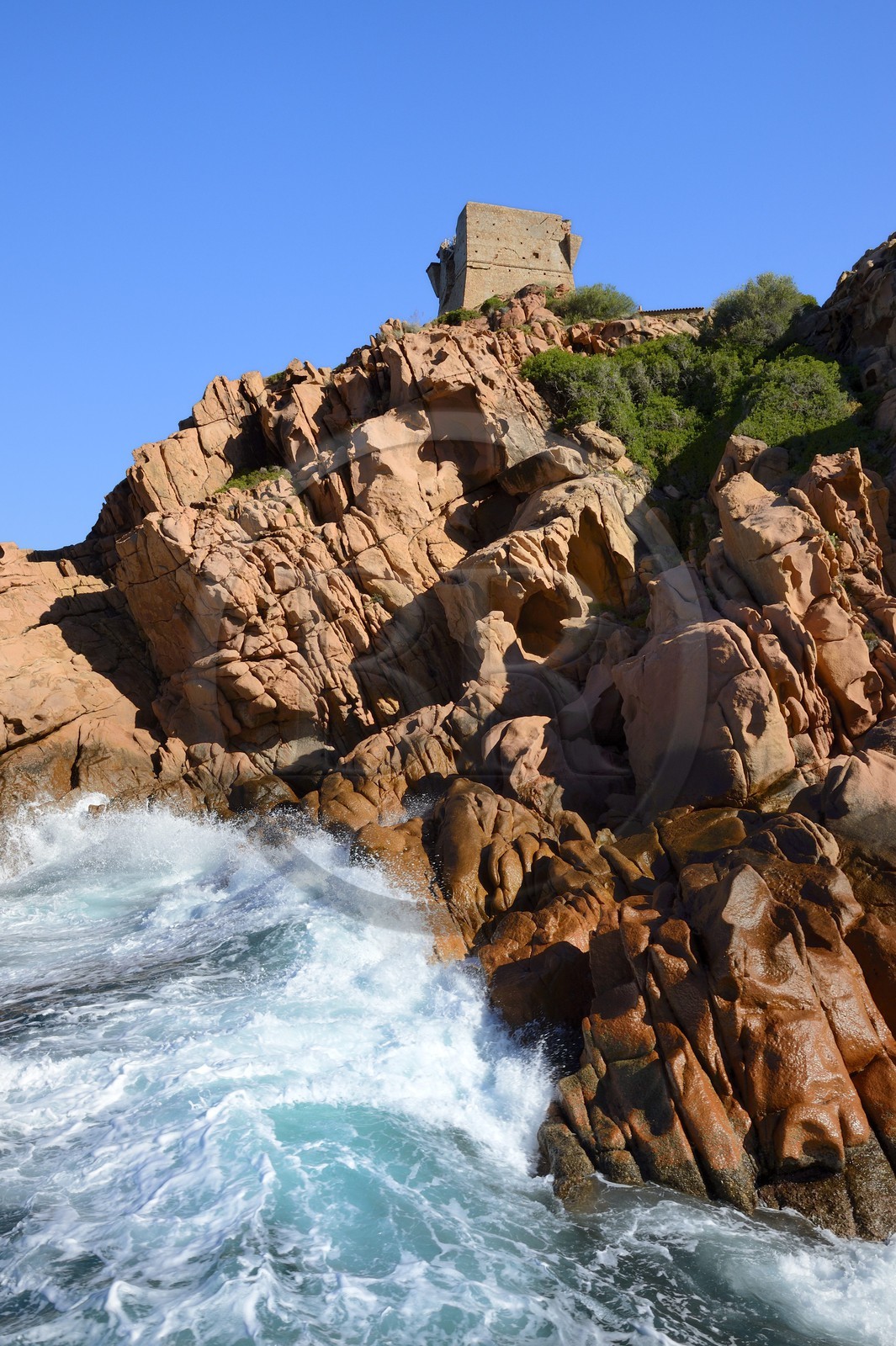 France, Corse-du-Sud (2A), Golfe de Porto, classé Patrimoine Mondial de l'UNESCO, la tour génoise au-dessus de la passe du port de la marine de Porto