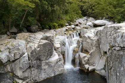 France, Corse du Sud, Sartene region, Rizzanese River at the Ponte Vecchiu in Zoza