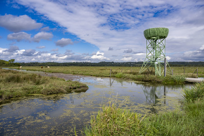France, Loire-Atlantique (44), Lavau-sur-Loire, le Nid-Observatoire du Marais du Syl est l'un des trois belvédères aux allures de nid de cigognes grand format qui se trouvent sur le territoire d'Estuaire et Sillon