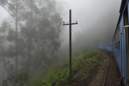 Sri Lanka, Uva Province, the popular scenic train ride through the tea growing hill country between Hatton and Badulla, next to the Horton Plains National Park cloud forest
