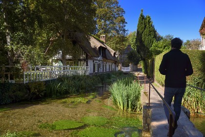 France, Seine-Maritime (76), Côte d'Albatre, Pays de Caux, Veules-les-Roses, labellisé Les Plus Beaux Villages de France, maison à toit de chaume en bordure du fleuve la Veules célèbre pour la faible longueur de son cours (1 100 m)