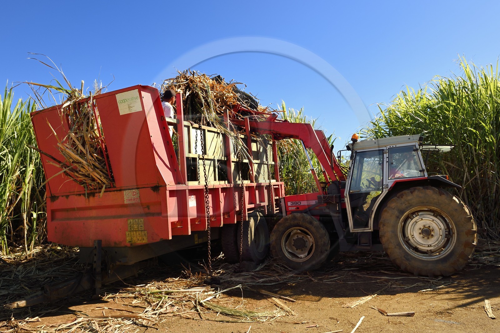 France, Ile de la Reunion, Petite-Ile,
