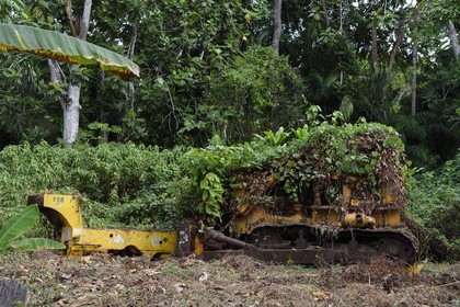 Gabon, province de Ogooué- Maritime, région de Omboué, lagune Fernan Vaz, la mission Sainte-Anne, bulldozer à l'abandon recouvert de plantes