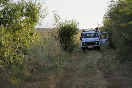 France, Hérault (34), région du Cap d'Agde, la Réserve Naturelle Nationale du Bagnas à l’ouest de l’étang de Thau