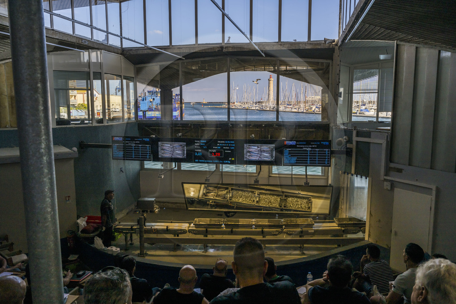 France, Hérault (34), Sète, Port de pêche, la criée aux poissons et le phare du mole Saint-Louis en arrière-plan