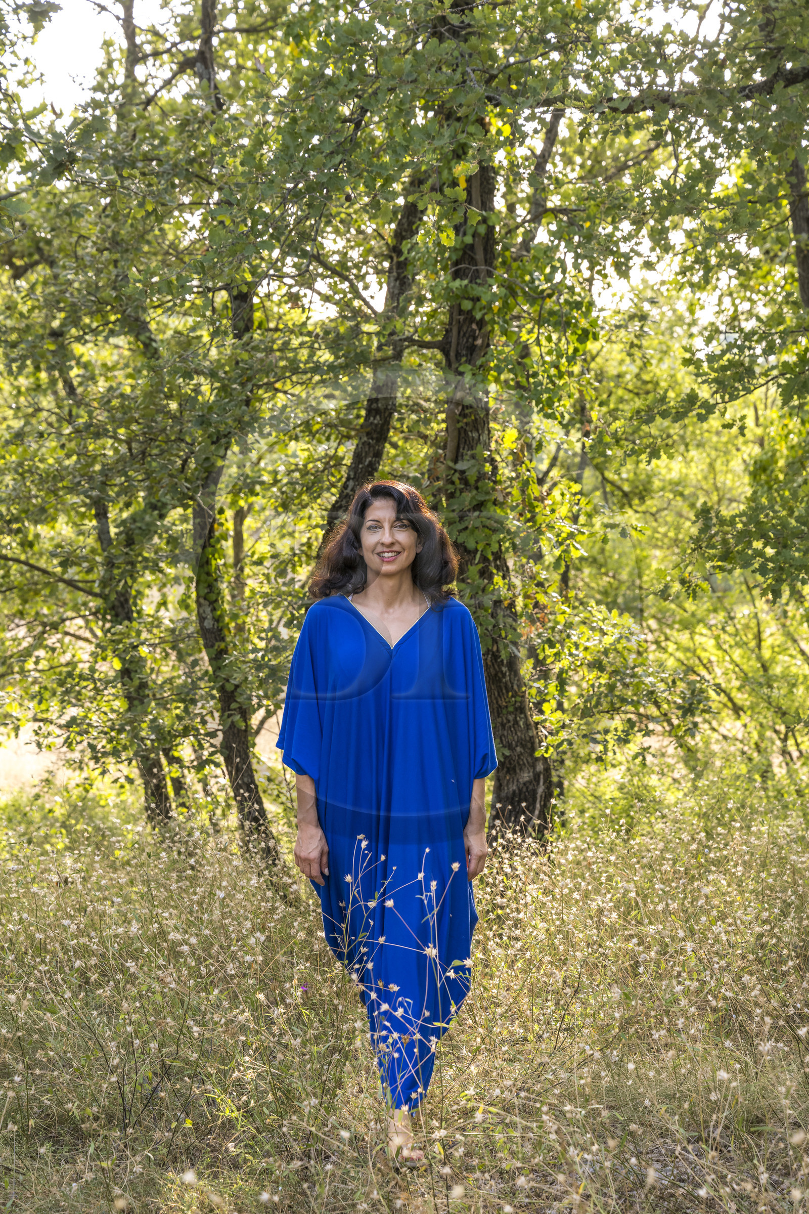 France, Var (83), Provence Verte, Bras, vers Saint-Maximin-la-Sainte-Baume, la maison d'hotes Le Peyrourier - une campagne en Provence