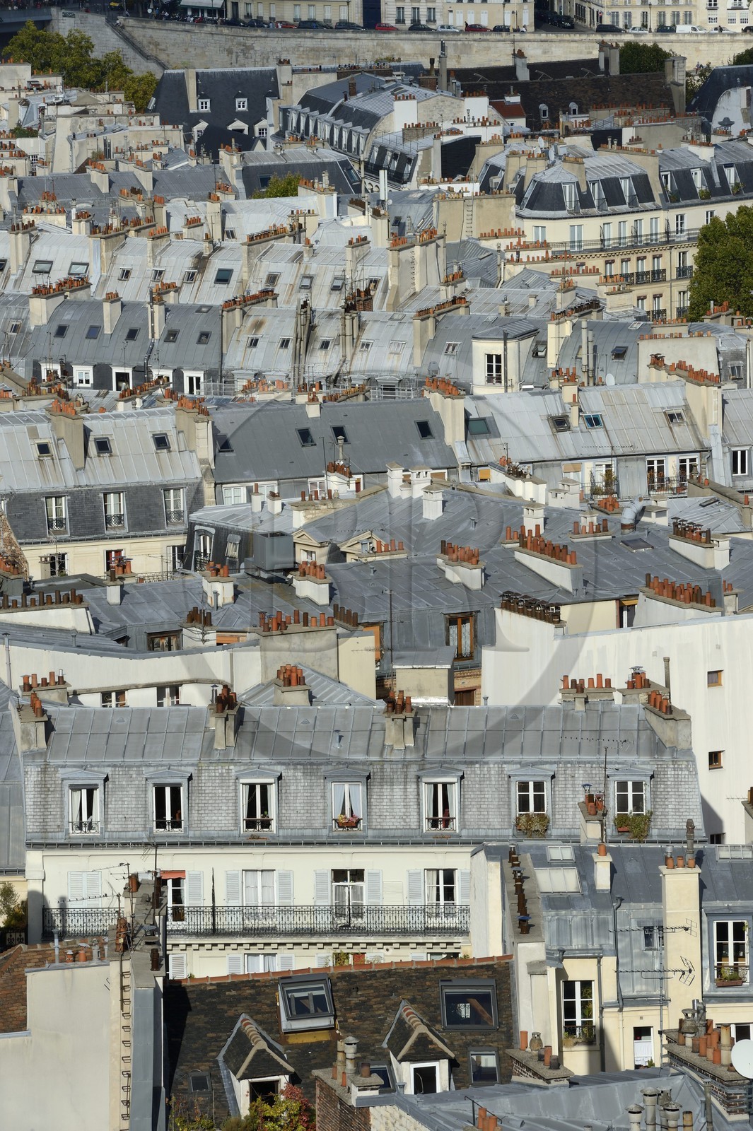 France, Paris (75), toits d'immeubles du Vème arrondissement