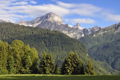 Switzerland, Canton of Vaud, Gryon, panorama of the  massif of Argentine overlooking Solalex