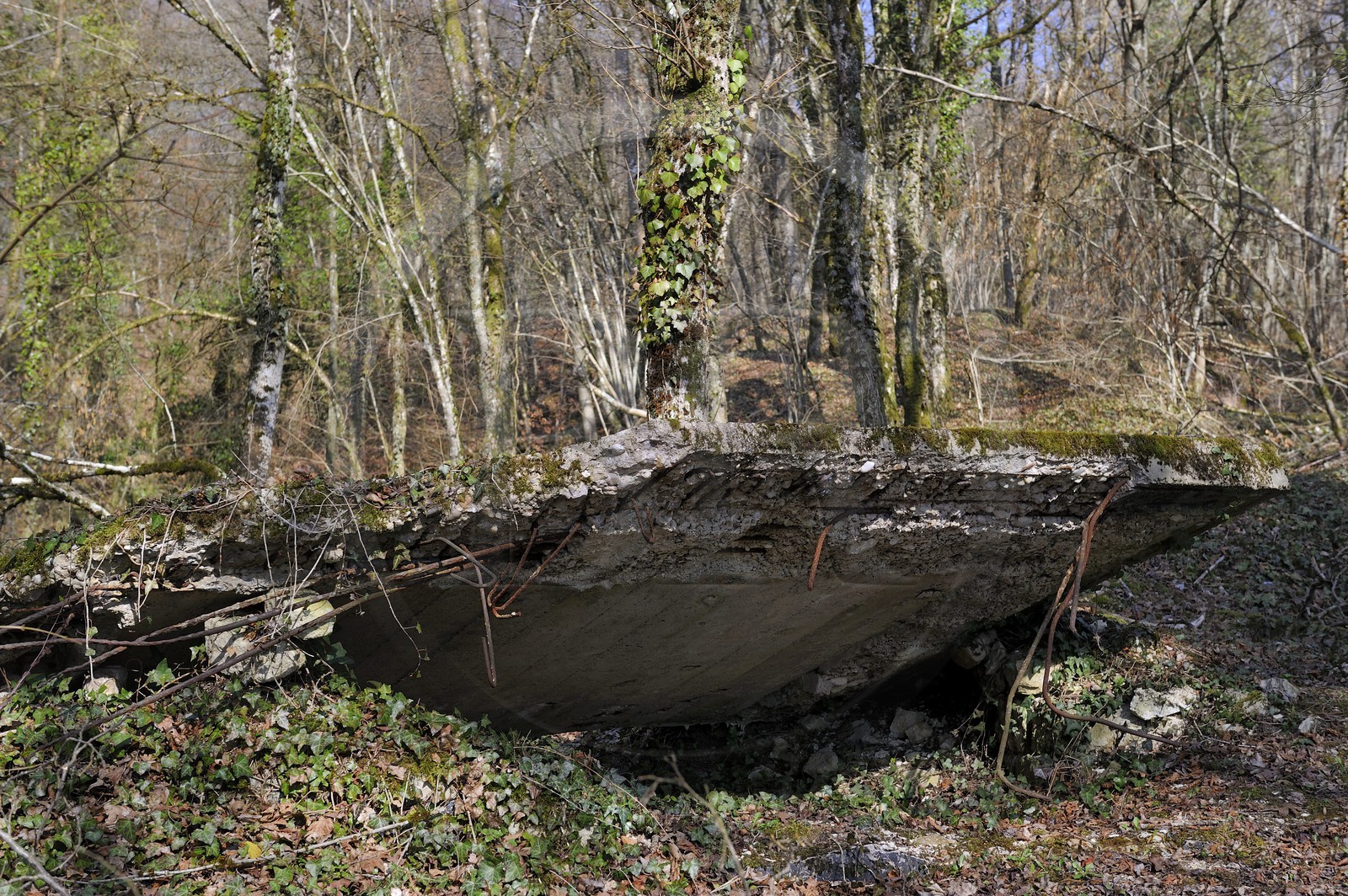 France, Meuse (55), région de Verdun, le Fort de Souville, traces d'une casemate en béton bombardée