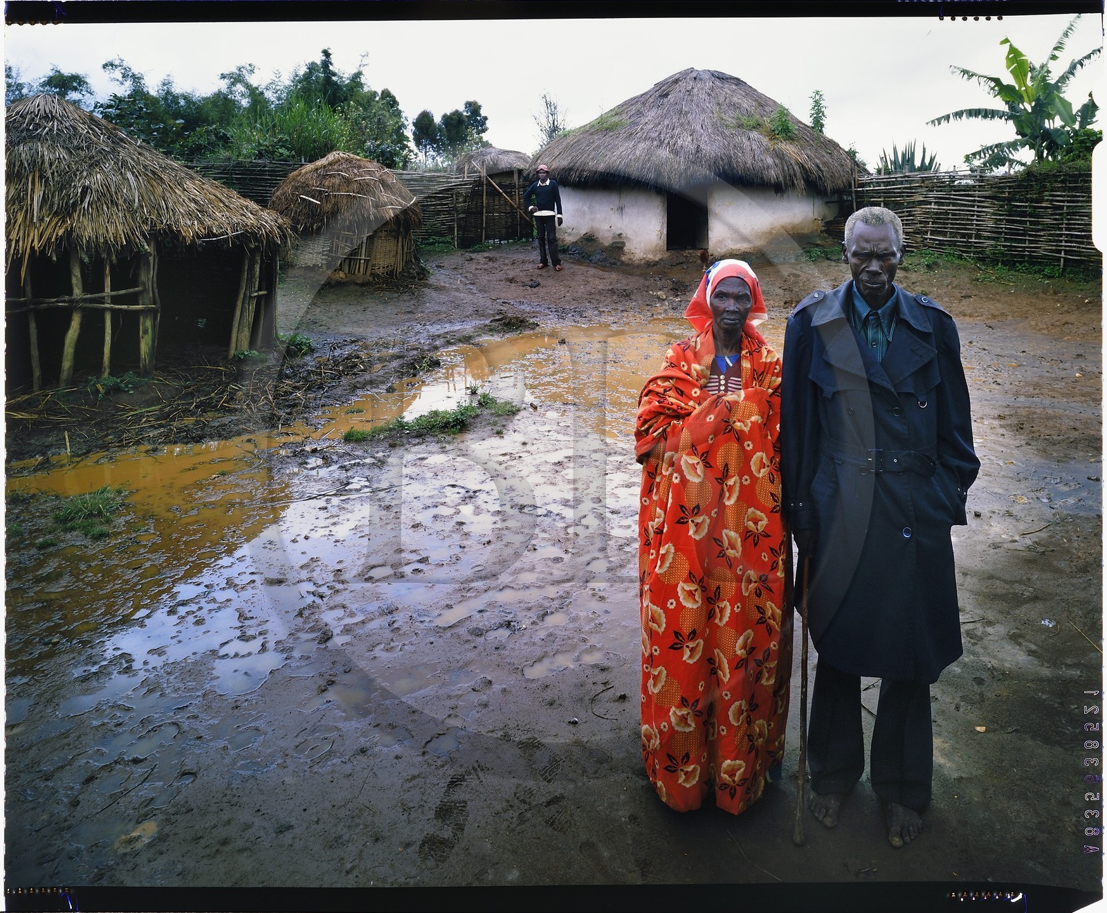 Burundi, province de Bujumbura, région d'Ijenda, vieux couple d'éleveurs Tutsi dans leur rugo (ferme traditionnelle) (reproduction plan-film inversible 4x5)