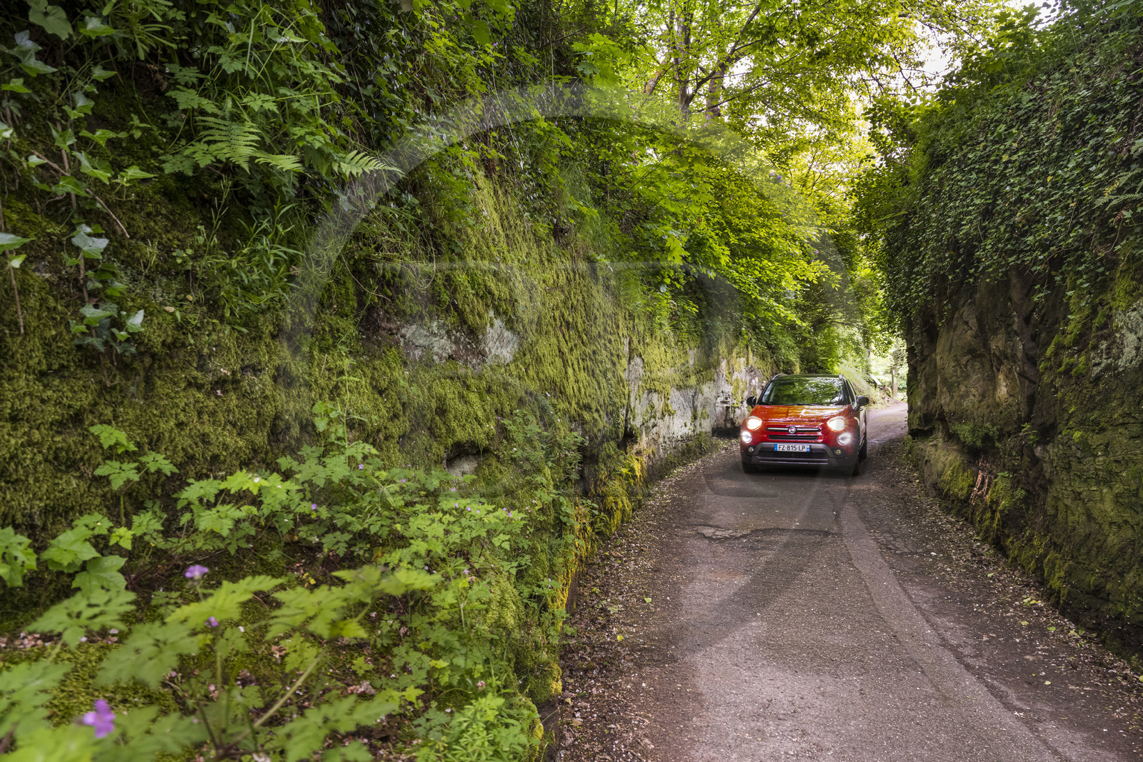 France, Bas-Rhin (67), Parc Naturel régional des Vosges du Nord, La Petite Pierre, la petite route forestière creusée dans le roc de grès à la sortie du bourg