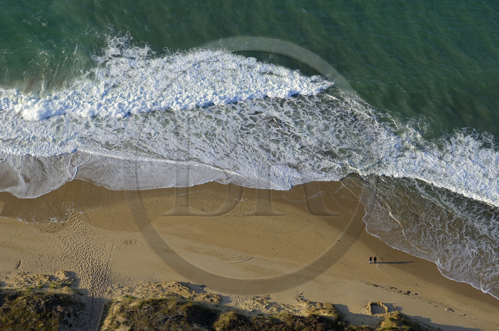 France, Charente-Maritime (17), ile de Ré, plage à la Conche des Baleines (vue aérienne)