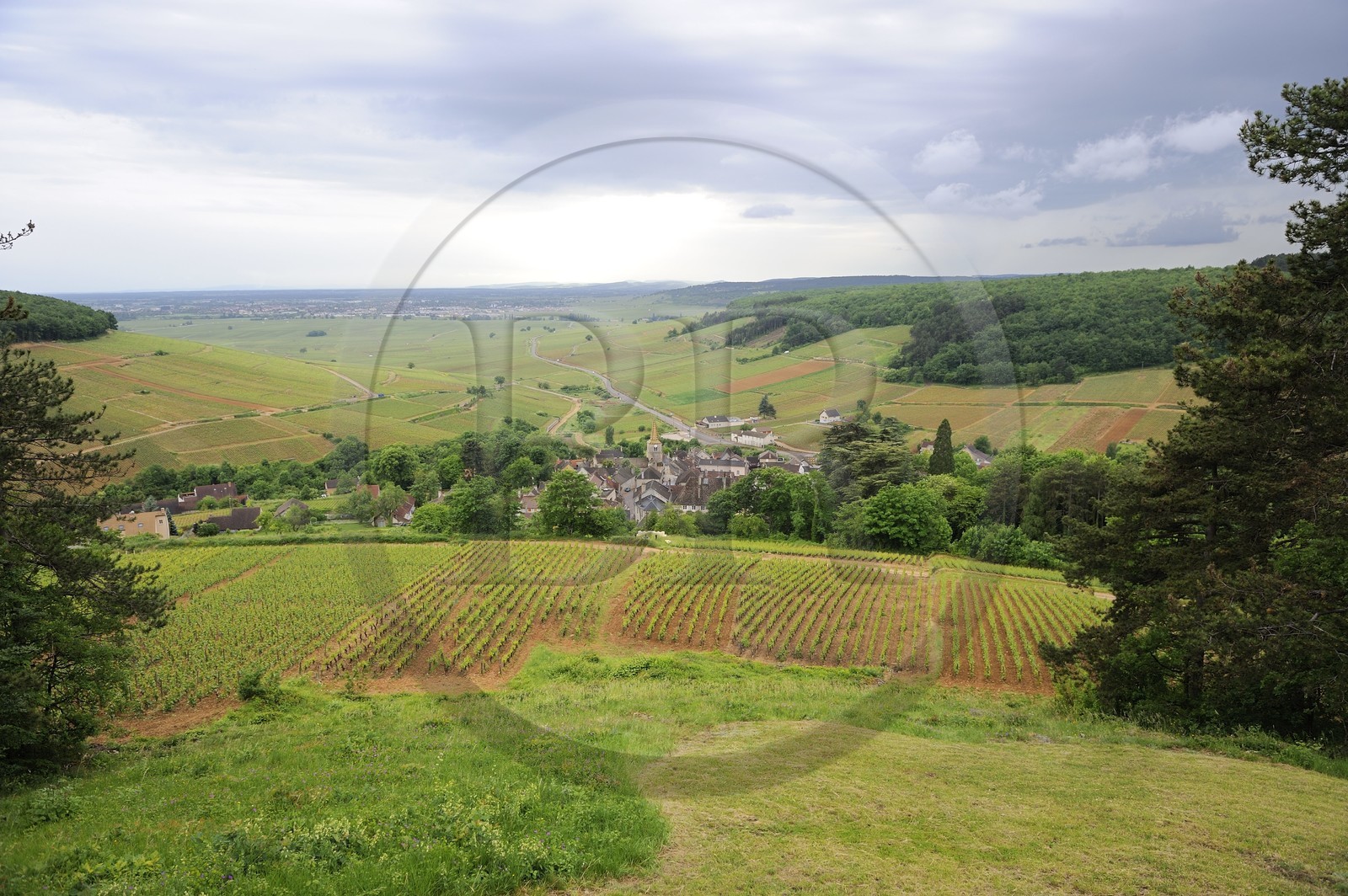 France, Côte d'Or (21), Pernand-Vergeles et la côte de Beaune