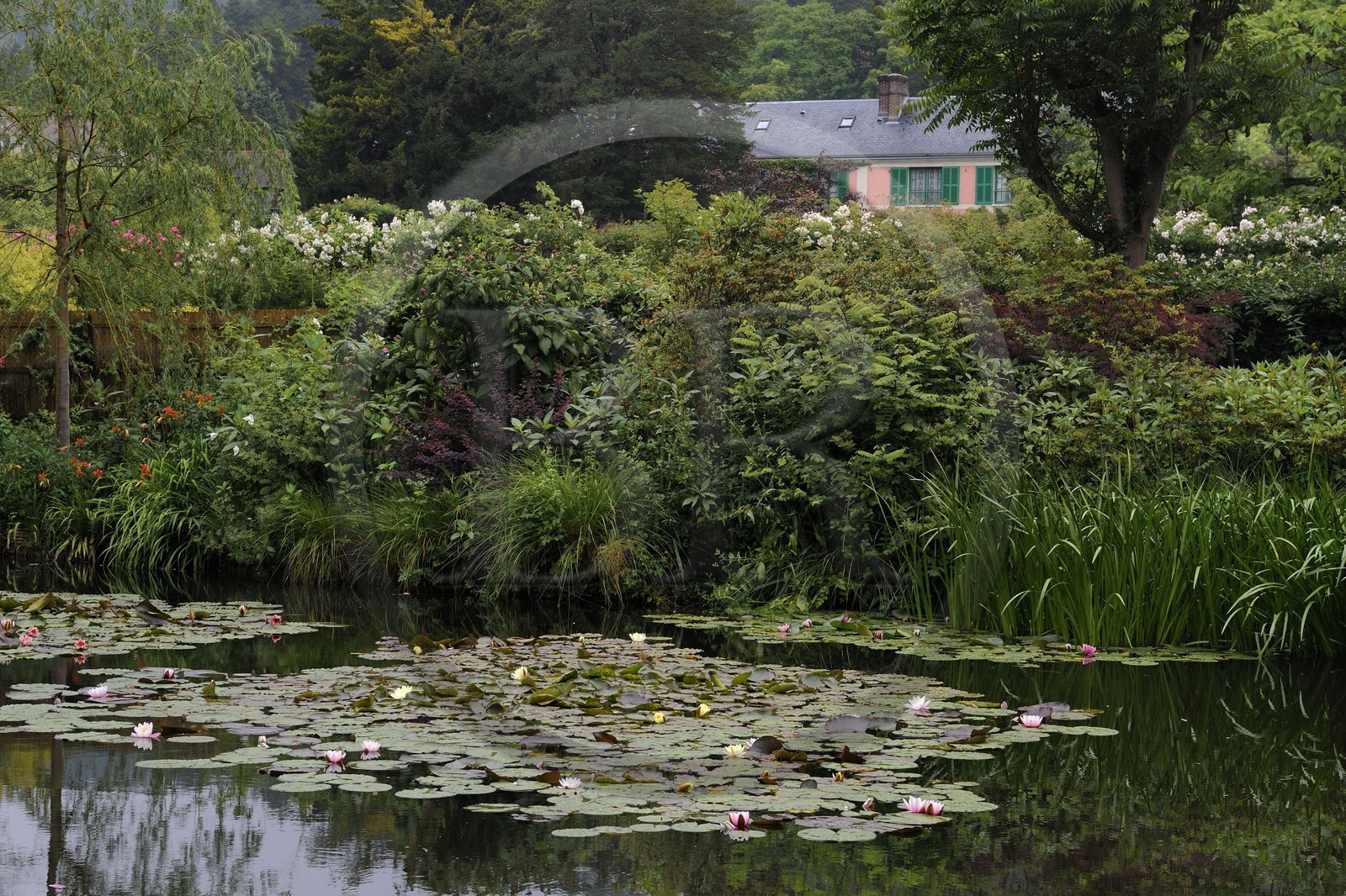 France, Eure (27), Giverny, le jardin de Claude Monet, le Jardin d'Eau