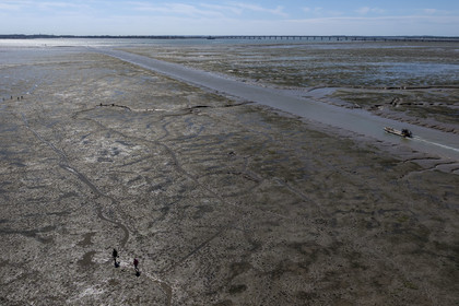 France, Charente Maritime, Oleron island, le Chateau-d'Oleron, oyster boat in the port exit channel at low tide and onshore fishermen on the foreshore (aerial view)