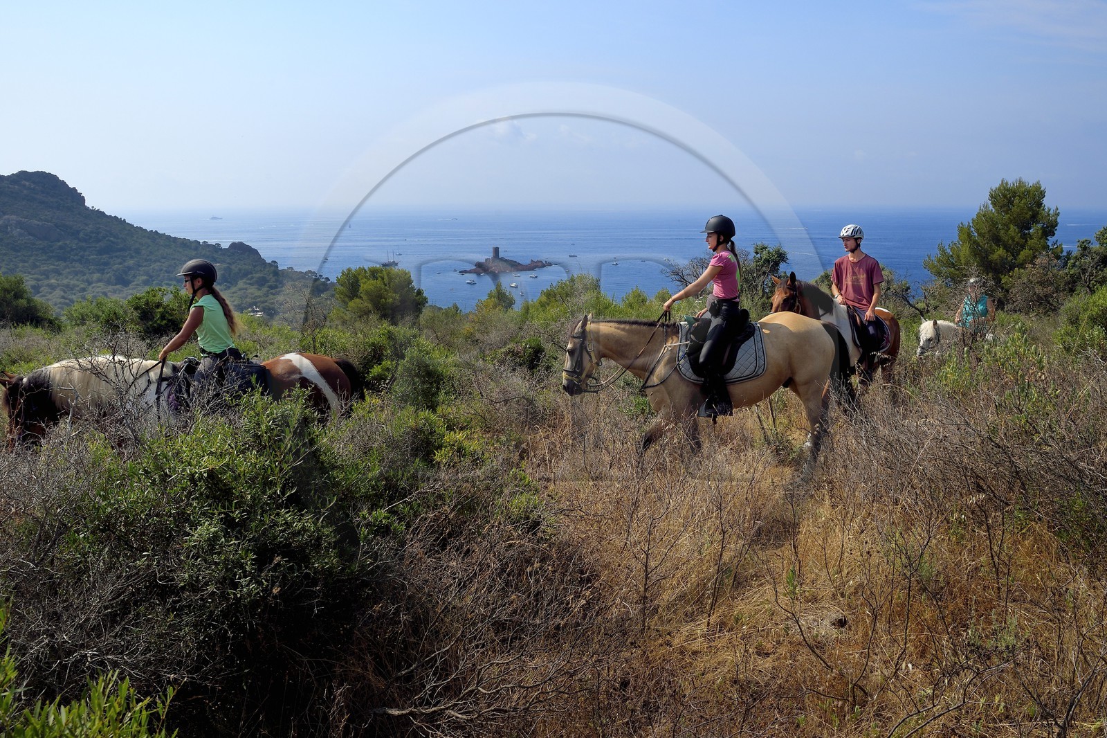 France, Var (83), Agay commune de Saint-Raphaël, cavaliers en randonnée dans le massif de l'Estérel et l'Ile d'Or au large du cap du Dramont en arrière plan