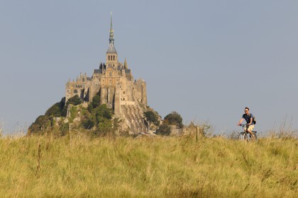 France, Ille et Vilaine, Mont Saint Michel, listed as World Heritage by UNESCO, seen from the sea wall of the polders