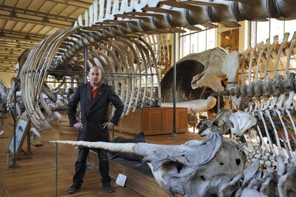 France, Paris, the Jardin des Plantes (Plants Gardens), comparative anatomy and palaeontology Galeries