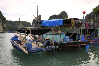 Vietnam, Quang Ninh Province, Halong Bay, listed as World Heritage by UNESCO, fishing floating village of Vong Vieng