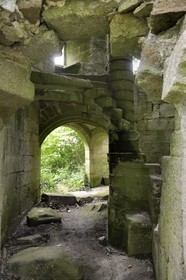 France, Finistere, Pont-Aven, Nizon, Rustephan castle, former manor house of the fifteenth and sixteenth century ruin