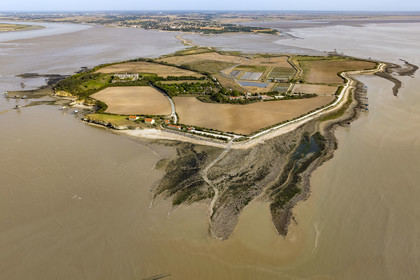 France, Charente Maritime, Port des Barques, Ile Madame,