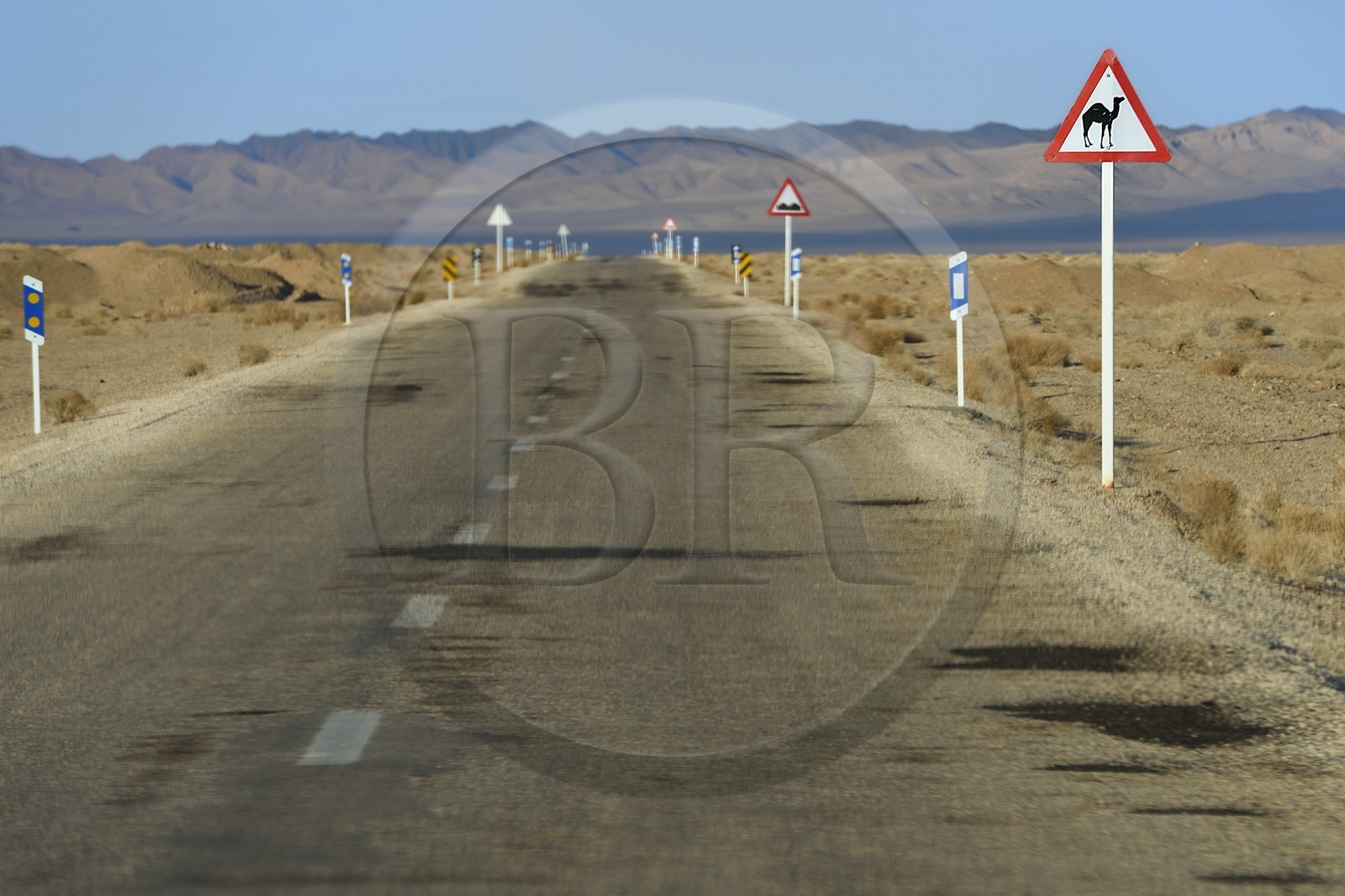 Iran, Province d'Ispahan, désert du Dasht-e Kavir, route menant de Khur à Mesr, panneau indicateur de traversée de Chameau, les dromadaires sont responsables de nombreux accidents notamment de nuit sur les routes