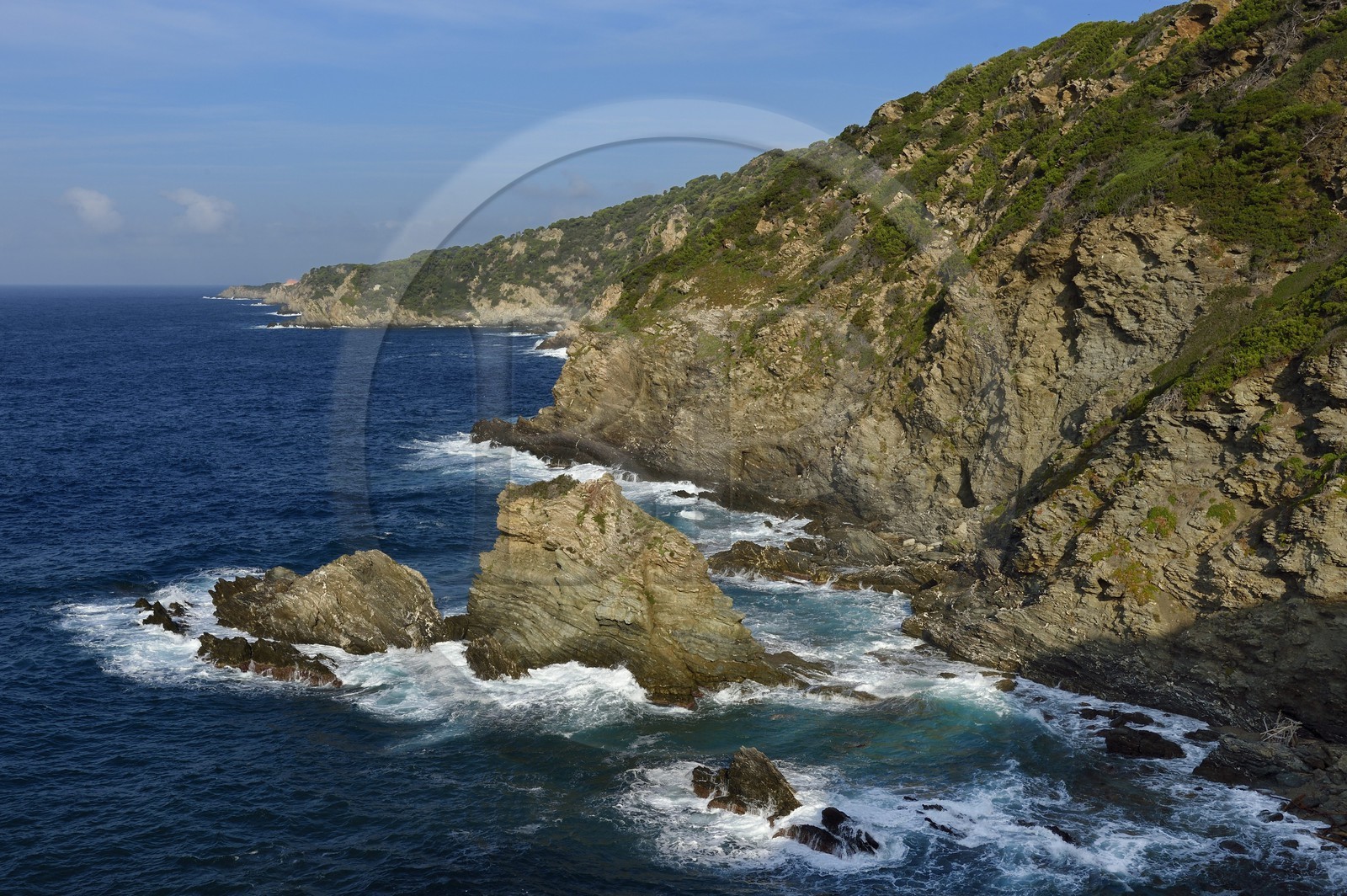 France, Var (83), Iles d'Hyères, parc national de Port Cros, Ile de Porquerolles, la côte Sud-Ouest vers la Gorge du Loup et le Fort du Grand Langoustier en arrière plan
