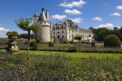 France, Indre et Loire, Chateau de Chenonceau of Renaissance style built between 1513 and 1522, Catherine de Medici's garden