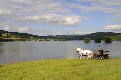 France, Nièvre (58), lac de Pannecière, Alain Perruchot agriculteur et éleveur de chevaux au commande de son attelage