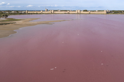 France, Gard (30), Aigues-Mortes, la ville médiévale entourée par ses remparts en bordure des marais salants (Salins du Midi) (vue aérienne)