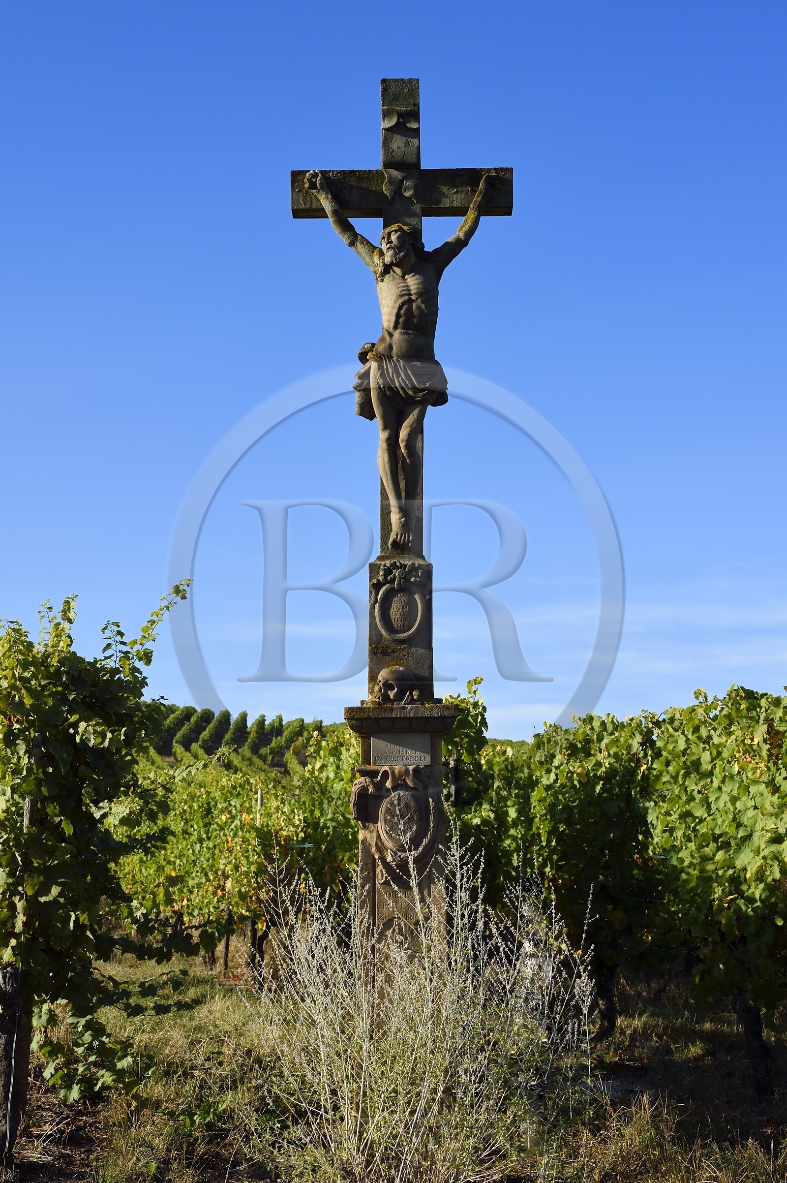 France, Bas-Rhin (67), Route des vins d'Alsace, Nothalten, calvaire dans le vignoble du grand cru Muenchberg sur les anciennes terres des moines