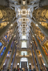 Espagne, Catalogne, Barcelone, quartier de l'Eixample, basilique de la Sagrada Familia de l'architecte du modernisme catalan Antoni Gaudi classée Patrimoine Mondial de l'UNESCO, la facade de la Gloire vue de l'intérieur et la voute de la Nef en haut