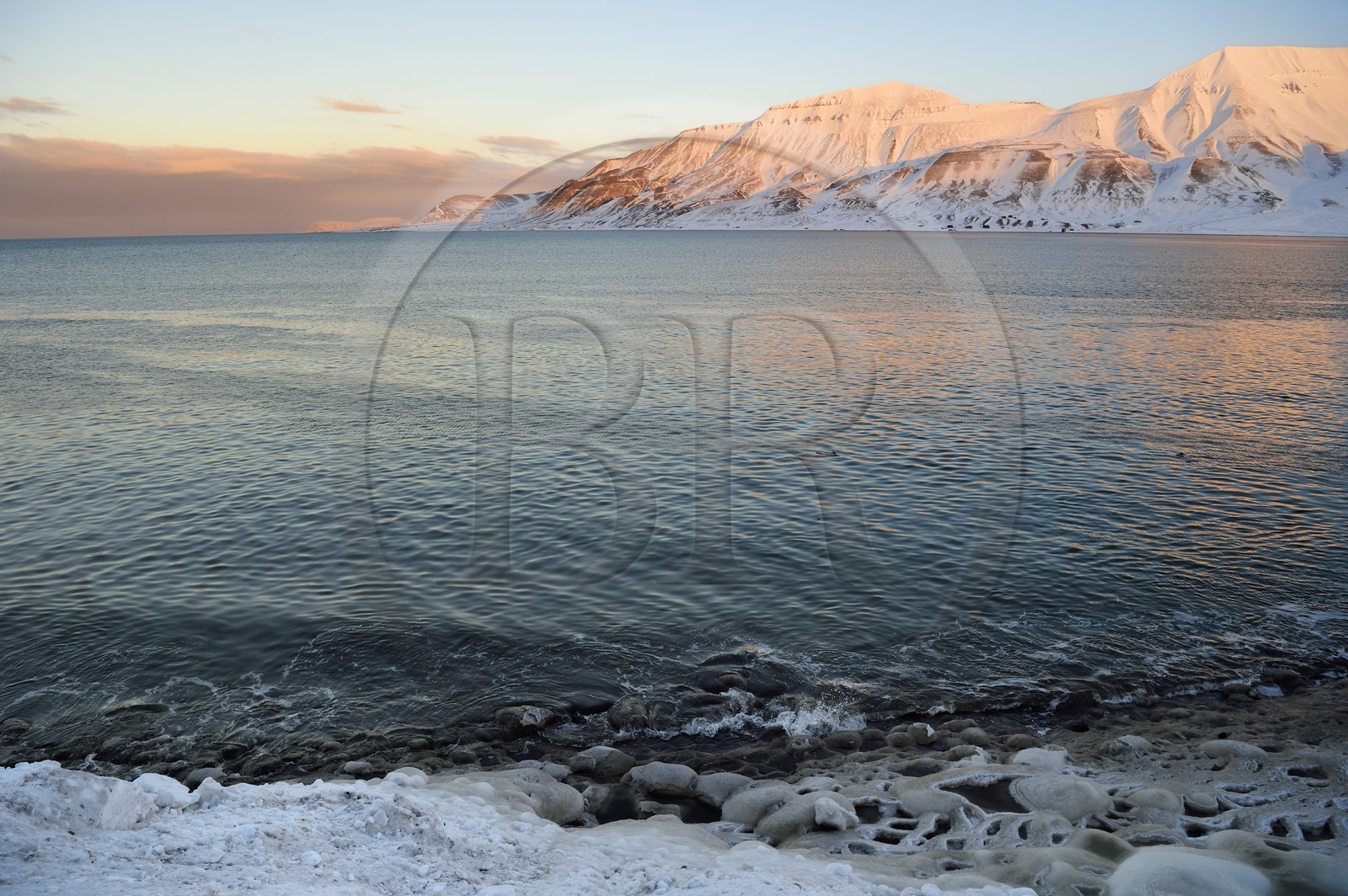 Norvège, Svalbard, Spitzberg, Longyearbyen, Adventfjorden, dentelle d'eau salée glacée Norvège, Svalbard, Spitzberg, Longyearbyen, Adventfjorden, dentelle d'eau salée glacée