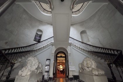 France, Corse du Sud, Ajaccio, the Fesch library main staircase in the Fesch palace