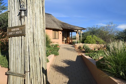 Namibie, Otjiwarongo, Cheetah Conservation Fund, centre de recherche et d'éducation, Babson House Luxury Guest House