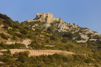 France, Aude (11), ruines du château cathare d’Aguillar dominant les vignes de Tuchan dans les Corbières