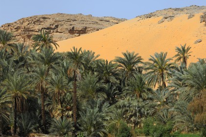 Egypt, Upper Egypt, Nile Valley, the Nile river between Kom Ombo and Aswan