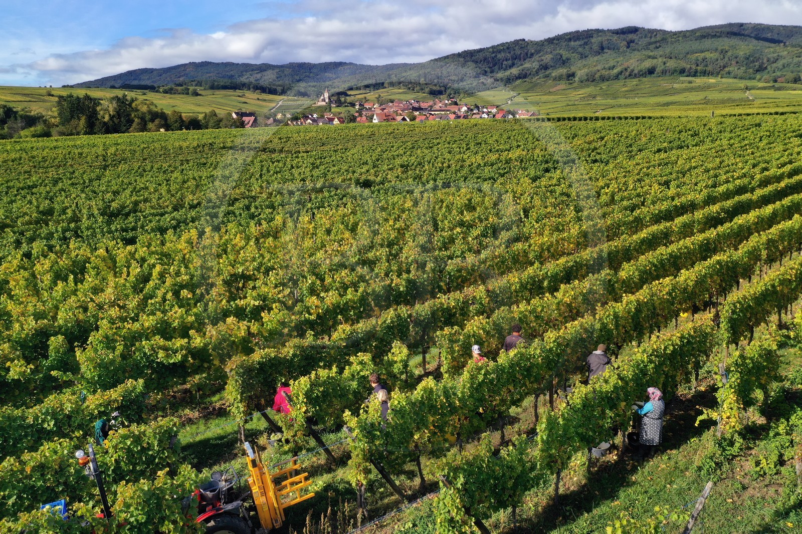 France, Haut-Rhin (68), Route des vins d'Alsace, Ribeauvill France, Haut-Rhin (68), Route des vins d'Alsace, Ribeauvill