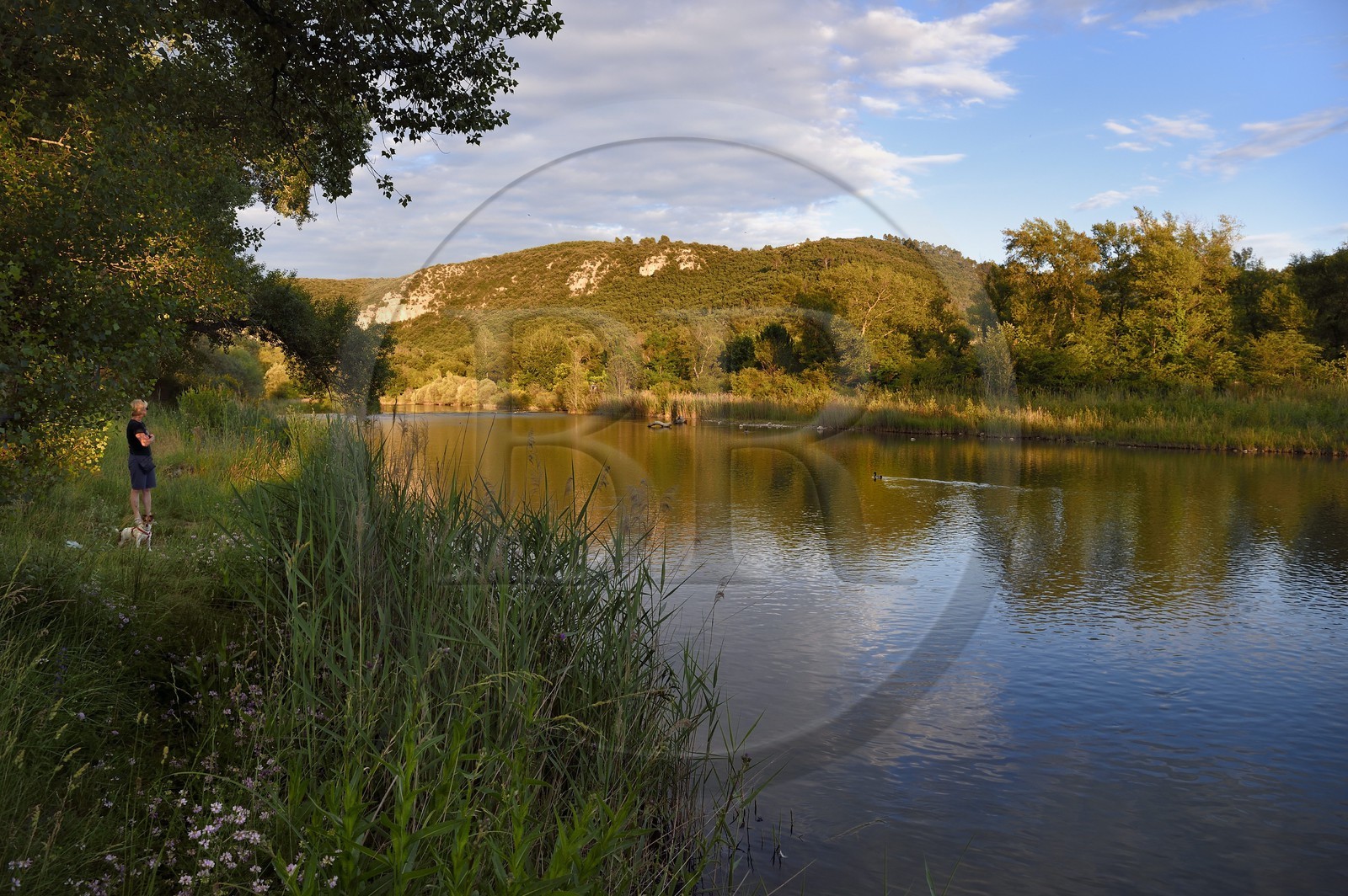 France, Alpes-de-Haute-Provence (04), parc naturel régional du Verdon, Gréoux-les-Bains, promenade du chien en bordure du Verdon