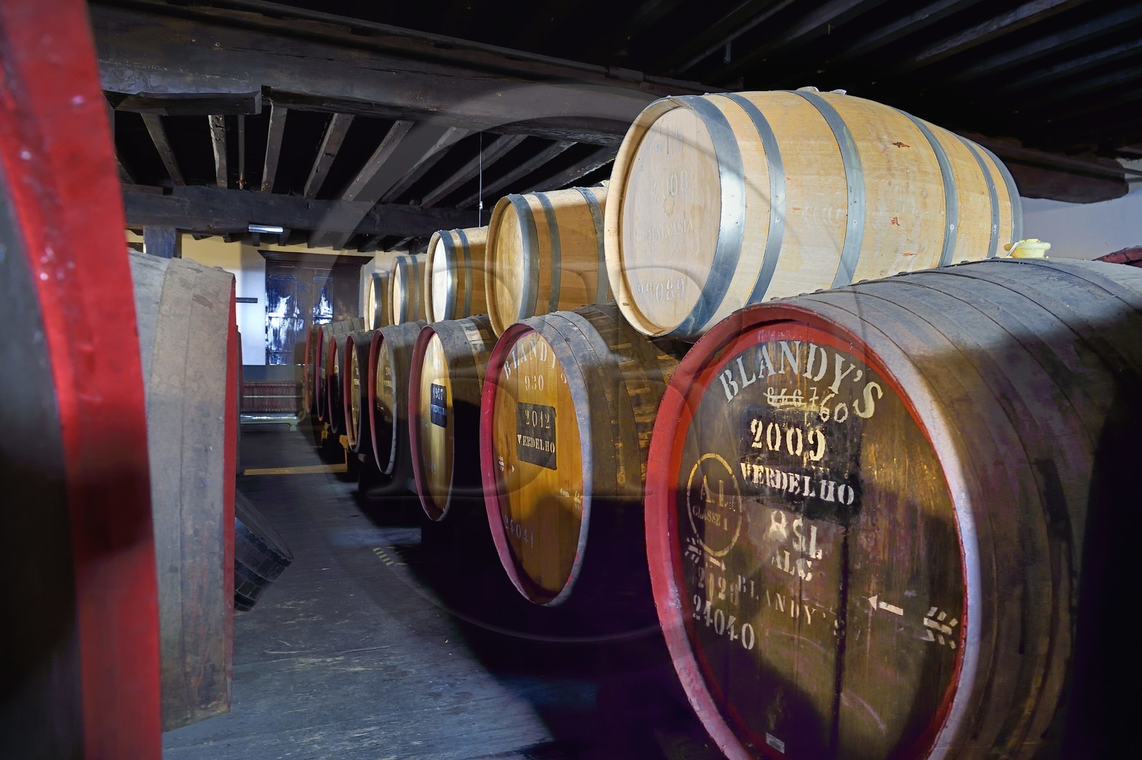 Portugal, Ile de Madère, Funchal, Madeira Wine Company, tonneaux de Madère (vin doux naturel) stockés dans la cave de la marque Blandy's (fondée en 1811)