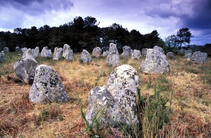 France, Morbihan (56), les mégalithes de Carnac (alignements de menhirs)