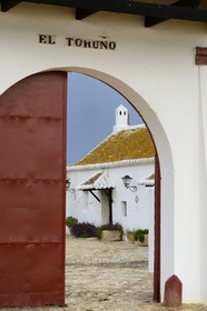 Spain, Andalusia, Seville Province, Utrera, the property El Toruno, breeding of fighting bulls