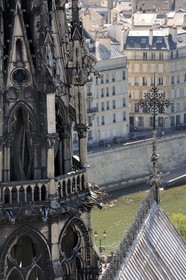 France, Paris (75), île de la Cité, la cathédrale Notre-Dame, la flèche